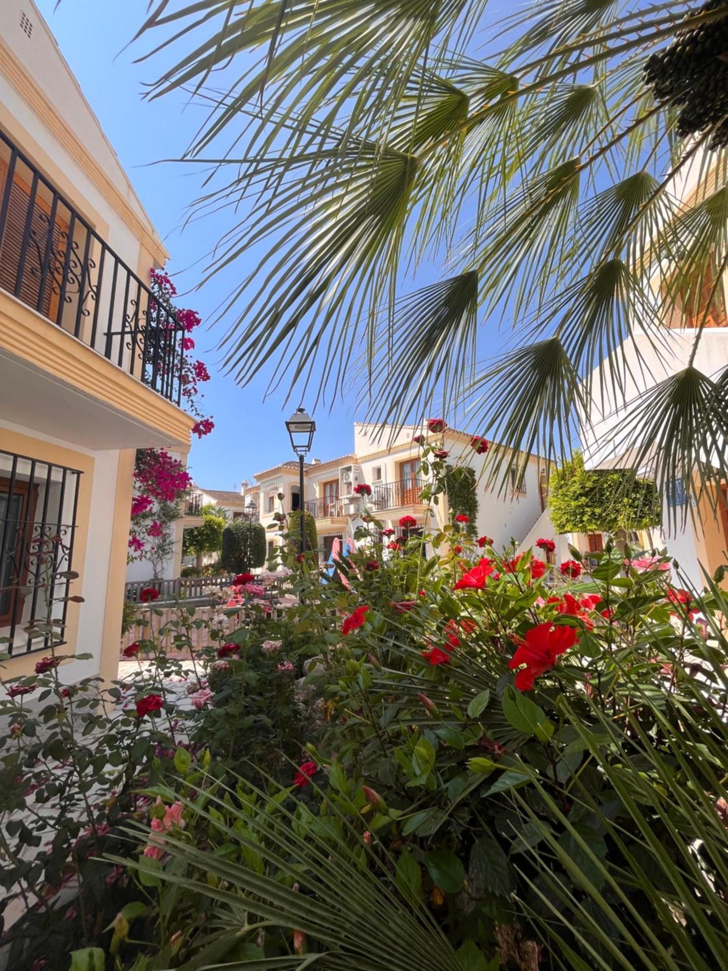 Apartamento Esquina Verde En Vera Coast Playas de Vera Exteriér fotografie