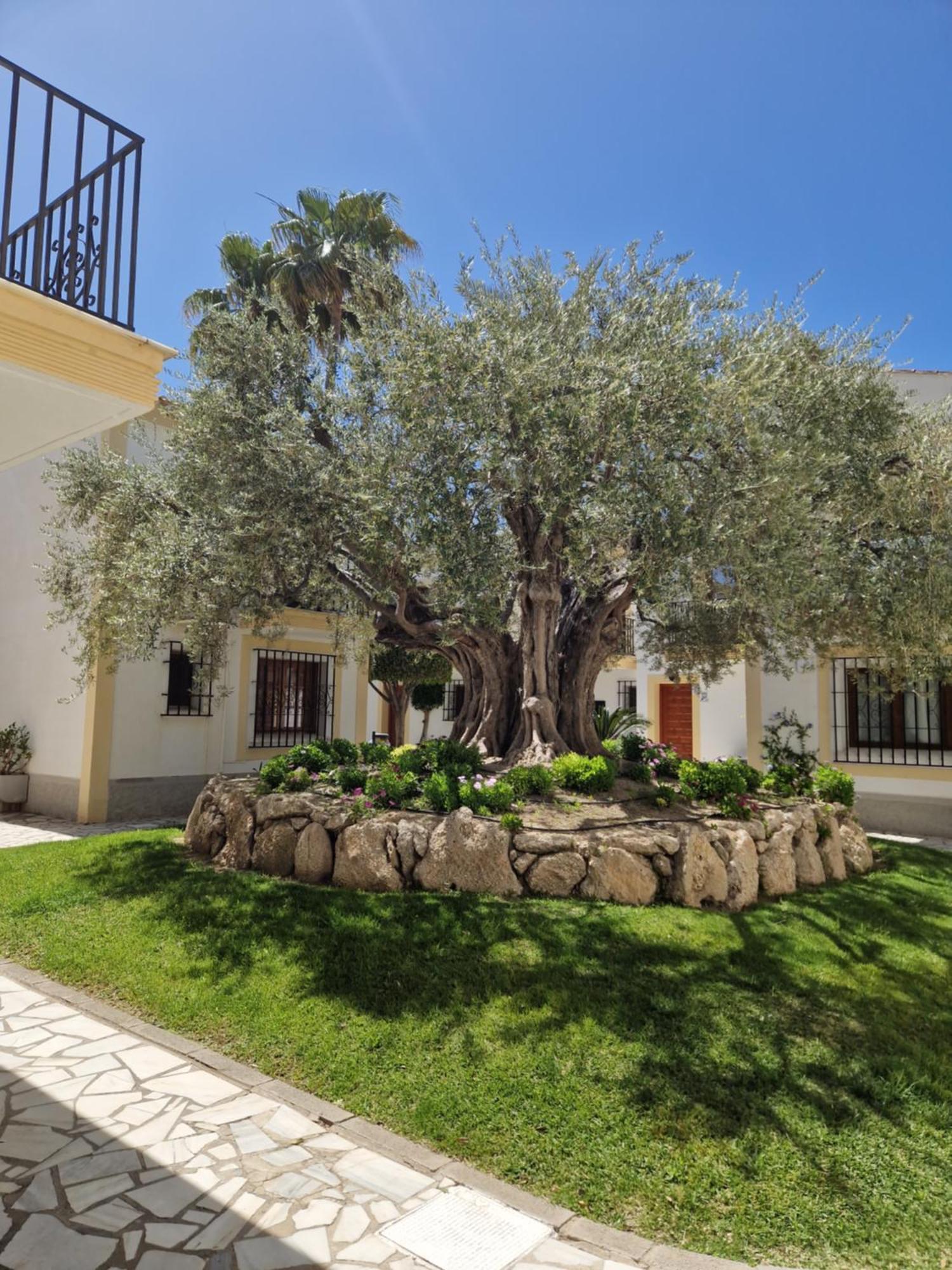 Apartamento Esquina Verde En Vera Coast Playas de Vera Exteriér fotografie